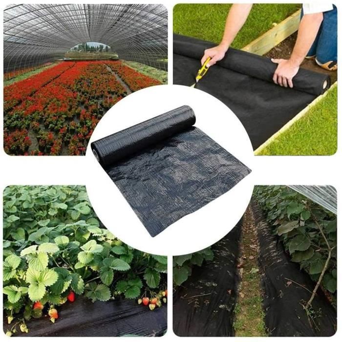 Toile De Paillage Contre Les Mauvais Herbes 100x1m En Fibres De Polypropylene Tissees Anti Uv 130g M2 Noir