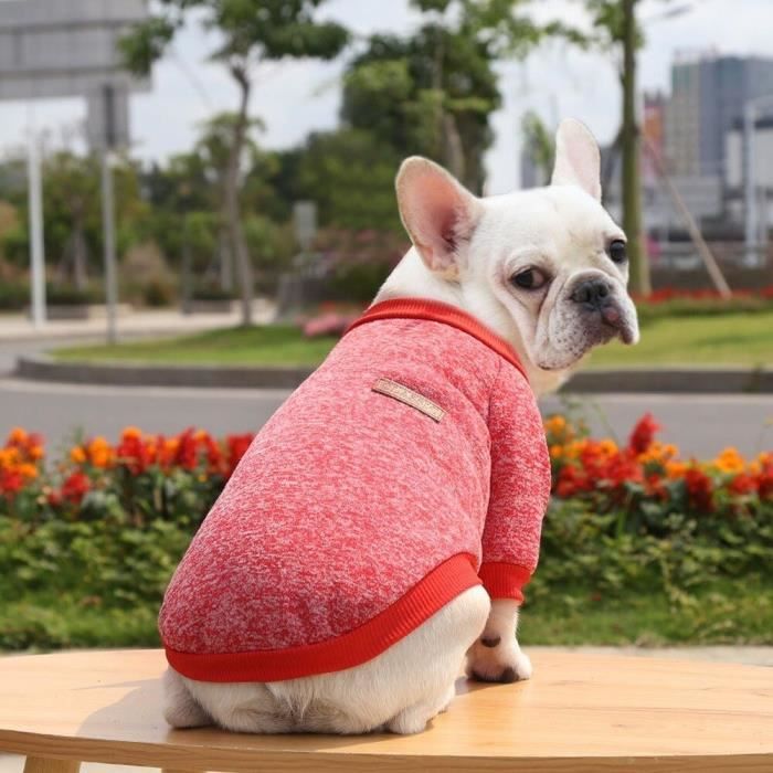 Pull bouledogue sales