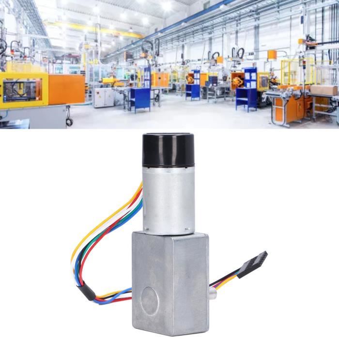 Moteur Réducteur DC 12V à Vis Sans Fin - Couple élevé, Autobloquant, 62 Tr/min, Pour Projets DIY