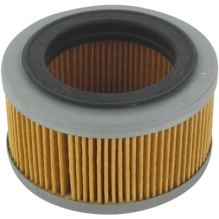Greenstar 5450 Filtre à air pour Stihl BR320/BR320L/BR400/SR320/SR400