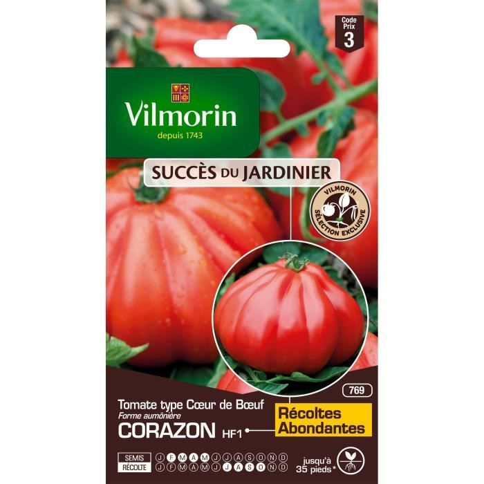 Légume Tomate Marmande UE Qualité Standard graines Indoor Greenhouse