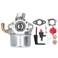 Carburateur pour artisan, carburateur professionnel, remplacement de carburateur de haute qualité, pour motoculteur Craftsman Intek-2