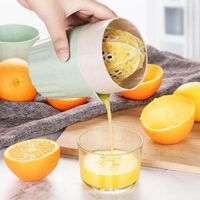 Presse-agrumes manuel pour citron Orange fruits Presse-agrumes jus Original pour enfants Mini outil pour jus mo979
