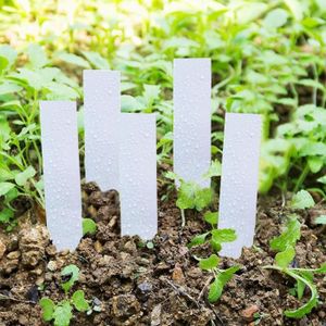 MARQUE-PLANTE HENGL 100 pcs plantes étiquettes de plastique pour