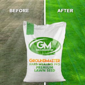GRAINE - SEMENCE Graines pelouse de qualité supérieure 5KG