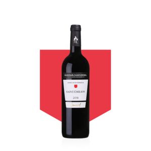 VIN ROUGE Vin AOC Saint-Emilion 2018 - Carton de 6 bouteille