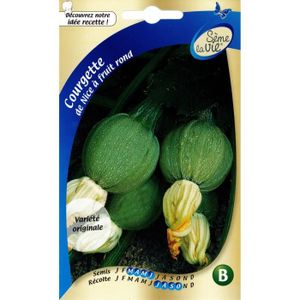 Graines De Courgettes De Nice A Fruits Ronds Achat Vente Graine Semence Graines De Courgettes De Nice Cdiscount