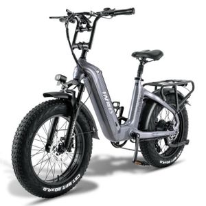 VÉLO ASSISTANCE ÉLEC Vélo électrique Cadre en fibre de carbone FAFREES F20Master 500W 48V 22.5AH 45KM/H 20