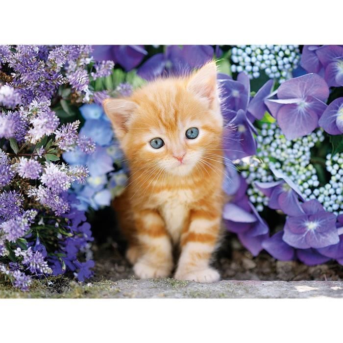Clementoni - 500 pièces - Ginger cat in flowers