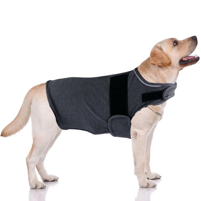 Gilet anti-anxiété chien doux apaisant chemise séparation calme visites vétérinaire/anxiété (taille A L)
