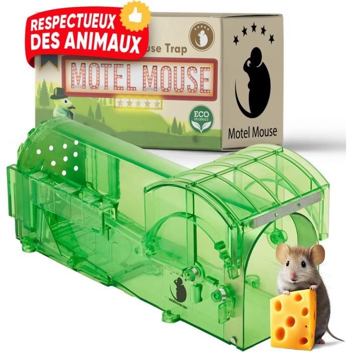 LIWIPiege a Souris Vivante Tapette a Souris Tappeteà Souris Attrape Souris Loir Mulot