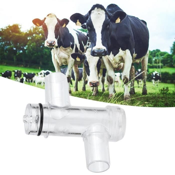 Échantillonneur De Lait De Vache 200 Ml En PC - Outil Prélèvement Et Analyse Lait Élevage