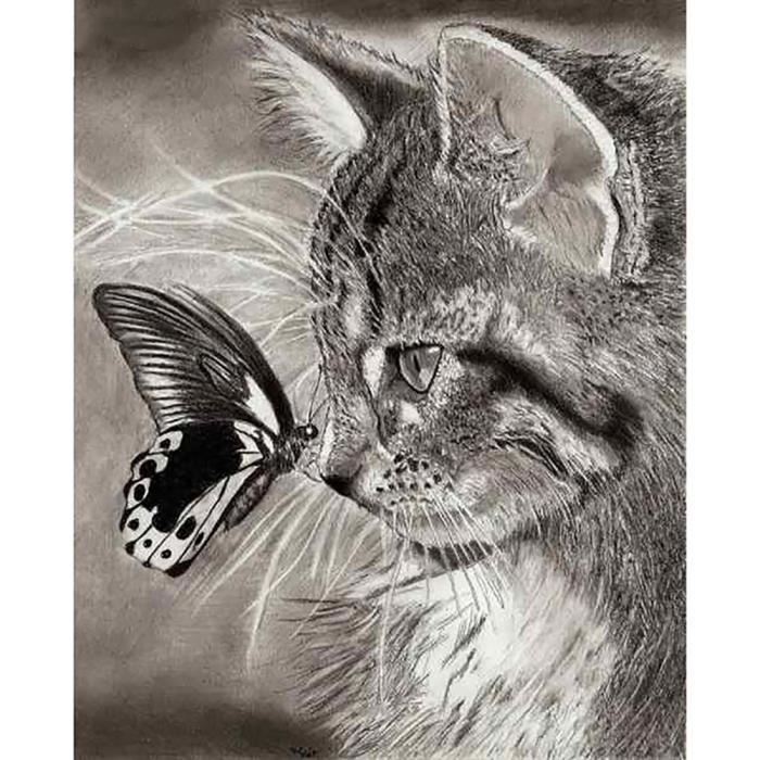 Peinture Par Numero Papillon Sur Nez De Chat Peinture En Diamant Carre Strass Complet Kits Broderie Au Point De Cdiscount Beaux Arts Et Loisirs Creatifs
