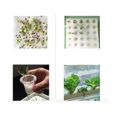 Système hydroponique d'herbes végétales végétales de kit de culture hydroponique simple de 36 trous-2