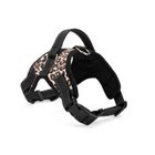 FOXNOVO Harnais en Tissu Oxford pour Moyen Grand Chien Style Selle - Taille M-Motif Léopard