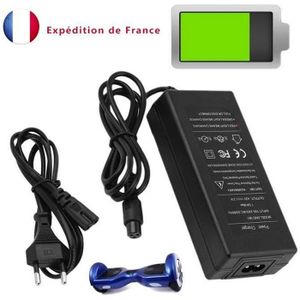 Cable best sale alimentation hoverboard