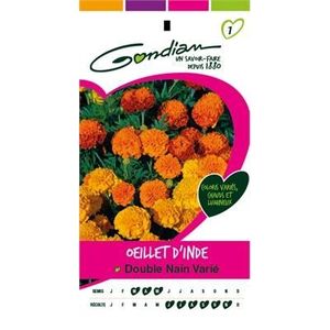 Sachet graines Oeillet dinde double nain vari/é Vilmorin