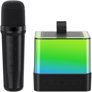 ENCEINTE NOMADE K12 Mini Enceinte Karaoké Bluetooth avec Un Microp