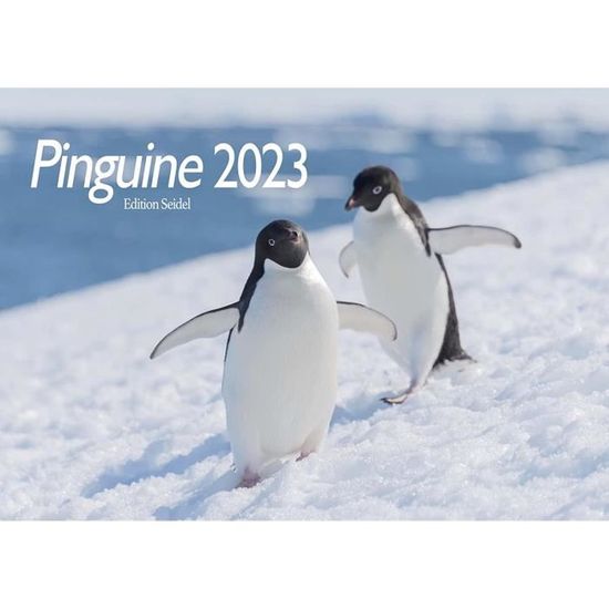 Edition Seidel Calendrier Mural Chicago 2026 De Qualité