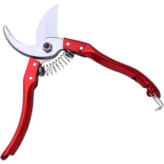Ciseaux de jardin, Bonsaïs d'arbres fruitiers Jardinage Élagage Cisailles Sécateur Outil de printemps pour jardin(Tout droit) sécateur pour couper | Leroy Merlin