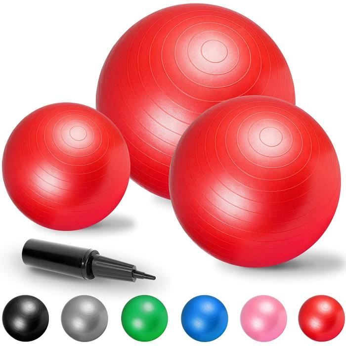 Gorilla Sports Swiss Ball - Ballon de Gym de Plusieurs Tailles 55cm, 65cm, 75cm et en Couleurs : Bleu, Gris, Fuchsia, Noir, Rouge, V