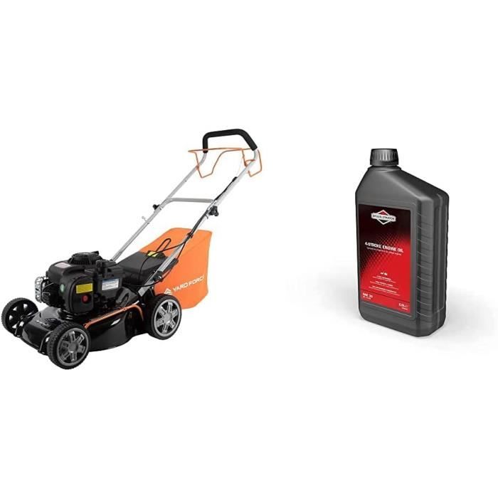 Puissance Moteur Briggs Et Stratton Quantum 50