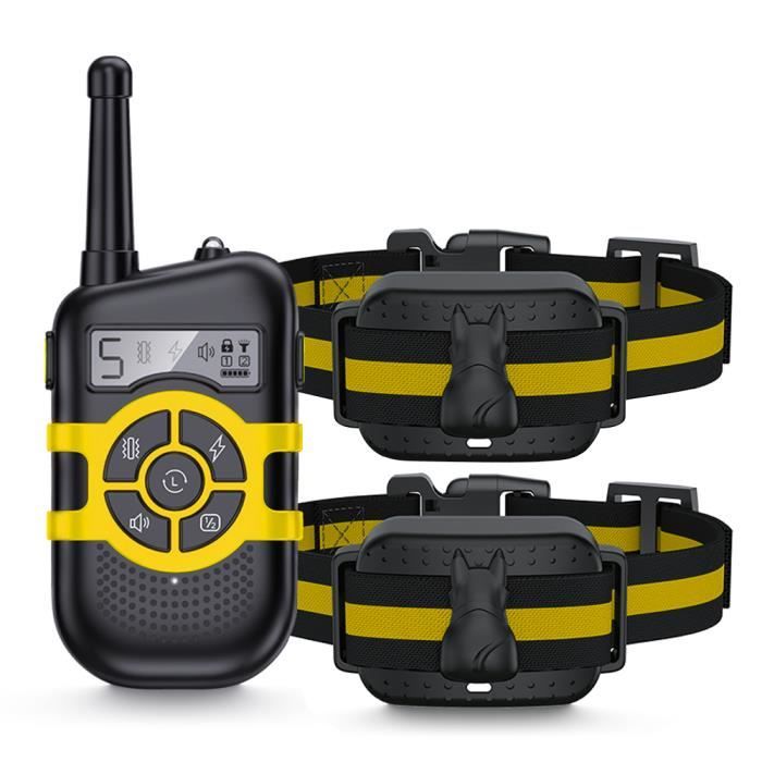 Collier de Dressage Chien Étanche avec Télécommande 300m