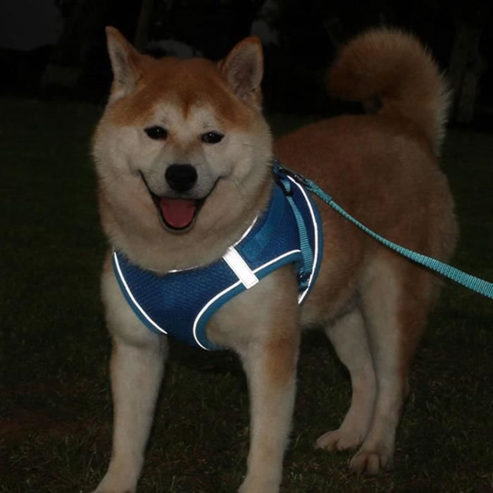 Pack De Douilles Fibre PTFE Pour Bouchons - Diamètres 4-25mm - Pour étanchéité Et Dispersion