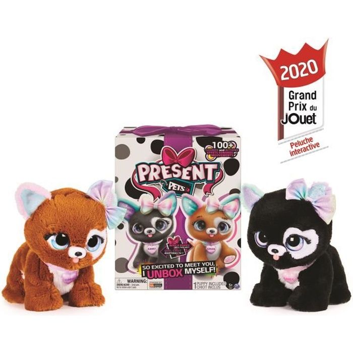 Peluche chien interactif et sonore - Present Pets - Surprise Rainbow  Glitter Pups - Modèle aléatoire - Cdiscount Jeux - Jouets