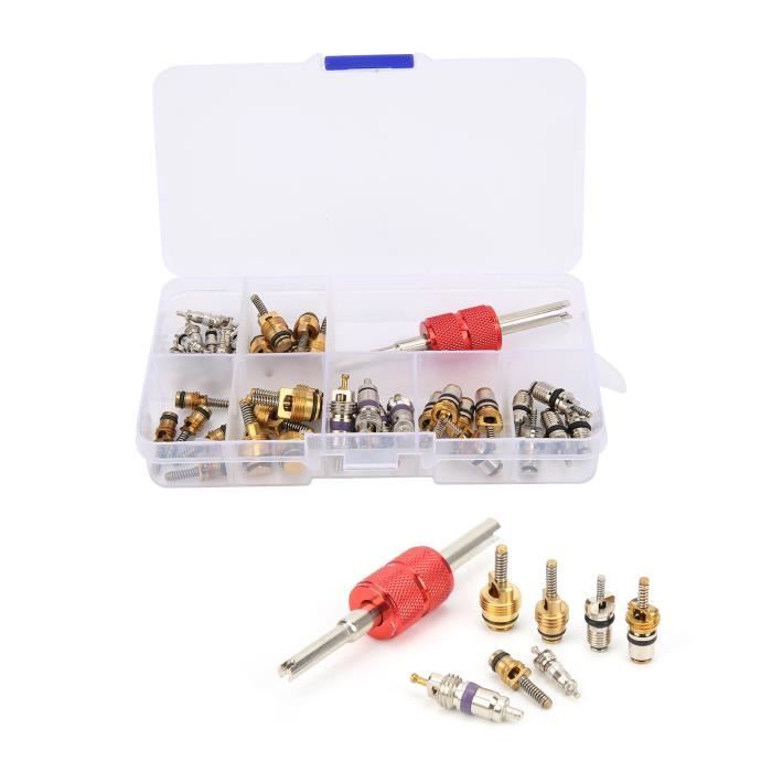 Kit De 17 Noyaux De Valve Pour Climatisation Auto – Compatible R12 Et R134a – En Laiton Et Aluminium – Pour La Plupart Des Véhicules