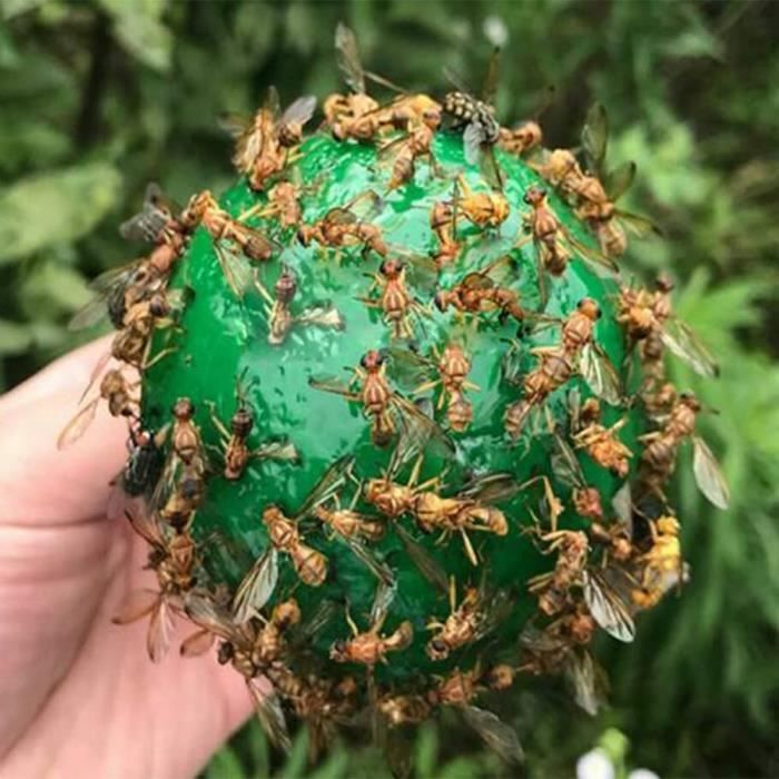 Autocollant anti mouche et moucheron: 60x pièges collant sans insecticide  pour la lutte contre les parasites des plantes d'intérieur - Cdiscount  Jardin