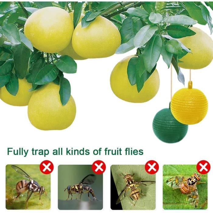 10 Pièces Pièges à Insectes, Attrape Mouche Collant, Ecologic Fly