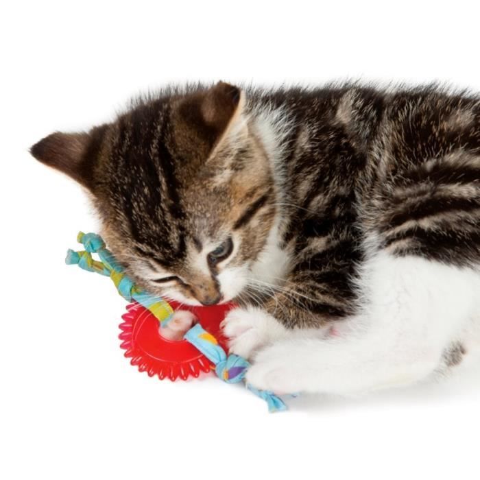 HAPINARY Lot De 4 Jouets à Mâcher Pour Chiots - Anneaux De Dentition Adorables Pour Chiens, Divertissement Aléatoire