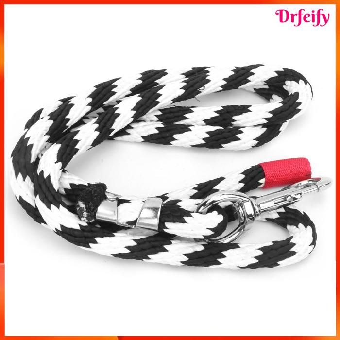 Corde de plomb du Kentucky de base