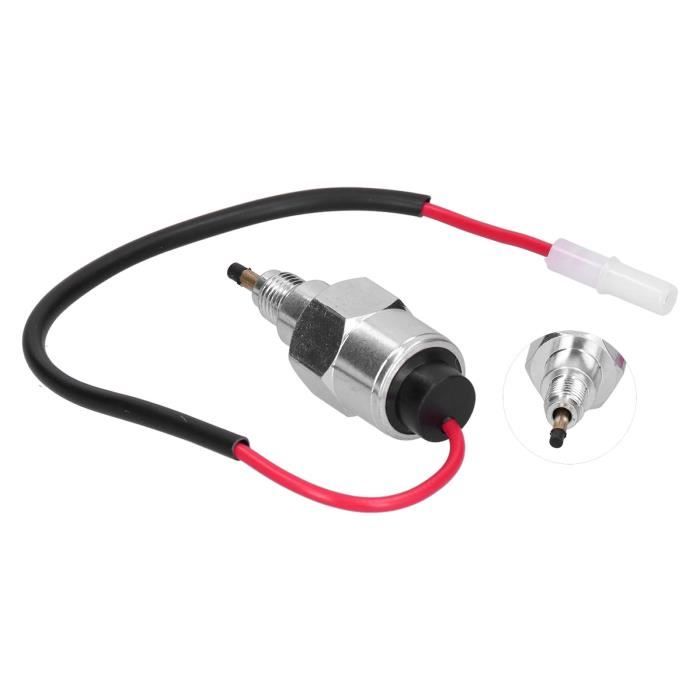 Carburateur 492256 Pour Moteur De Tondeuse à Gazon Briggs & Stratton