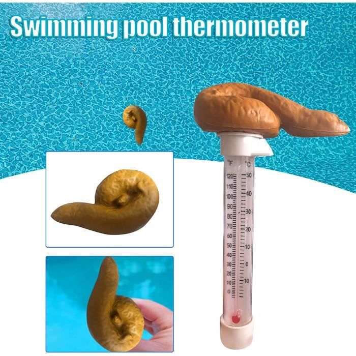 Thermomètre pour piscine flottante, température de l'eau en forme de merde,  pour extérieur et intérieur - AliExpress