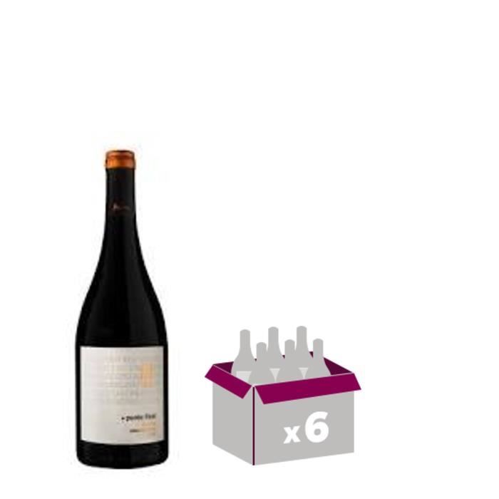 PUNTO FINAL Cabernet Franc Vin d'Amérique du Sud - Rouge - 75 cl x 6