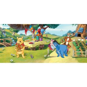 Anniversaire Winnie Cdiscount