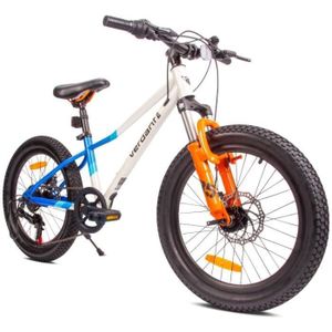 Vélo De Ville Enfant 20 Pouces – Freins à Disque, 7 Vitesses, Cadre Acier Carbone, Pour 130-150 Cm, Charge Max 85 Kg