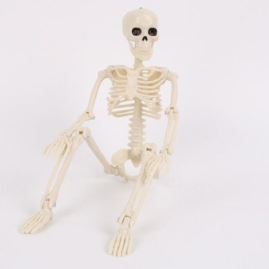 Coussin Décor Blanc 107x38cm Halloween Peluche Squelette Jouets Décoration Skeleton Poupée En Peluche Halloween Gothic Décoration D'intérieur Thème Horreur Coussin Décor Blanc 107x38cm Halloween Peluche Squelette Jouets Décoration Skeleton Poupée En Peluche Halloween Gothic Décoration D'intérieur Thème Horreur