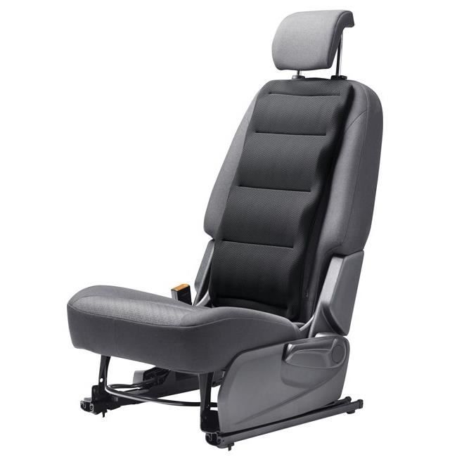FROLI Coussin de Soutien Dorsal Noir