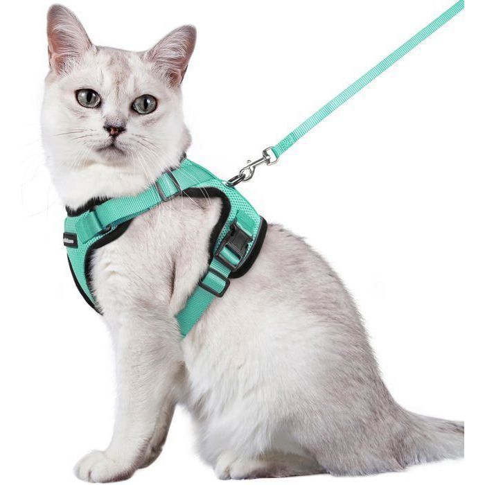 Comparer les prix de Harnais Chat Anti-évasion avec Laisse Vert M Harnais Chaton Petit Chien Réglable Collier Harnais et Laisses pour Chat Refléchissant