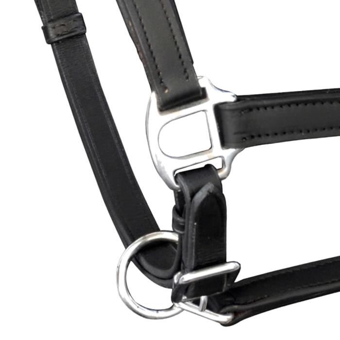 Sangle pectorale élastique Whitaker Ready To Ride