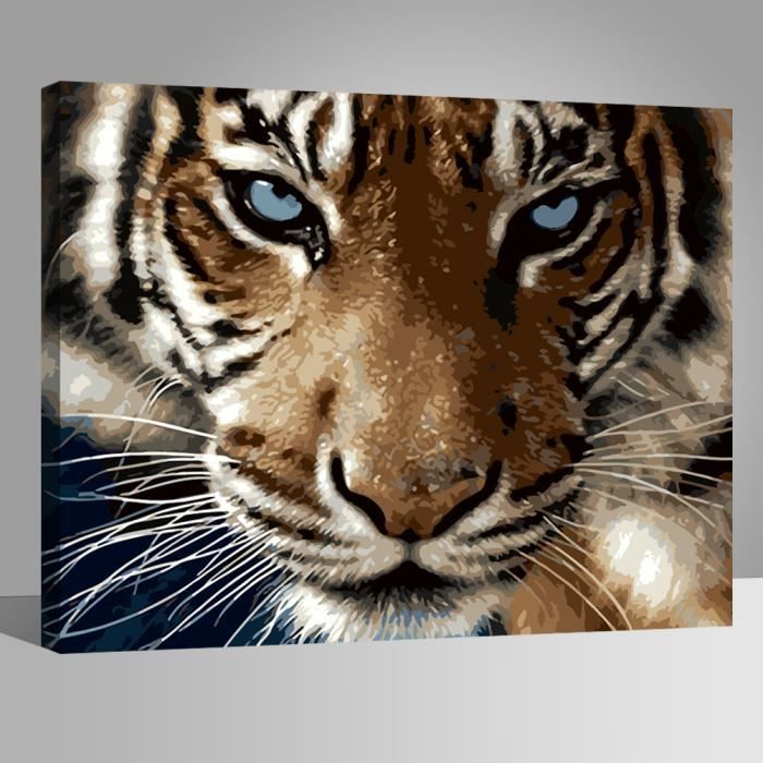 Tigre Colore Peintures Diy 40x50cm Avoir Diy Peinture Cadre Toile Peinture Tableau Art Deco Cadeaux Peinture Numerique Achat Vente Tableau Toile Cdiscount