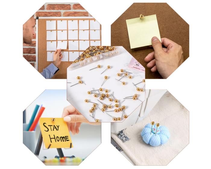 100pcs Punaises en Bois, 20x10mm Tête Ronde Punaises Épingles pour Tableau d 'Affichage en Liège Cartes Calendriers Affichage Photo Fournitures de Bureau (Marron Clair