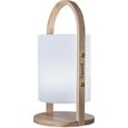 Lanterne LED Woody - LUMISKY - Blanc - Design scandinave - Poignée en bois naturel - Autonomie 10h-0