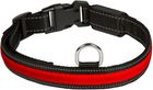 Collier lumineux - EYENIMAL - RGB LIGHT COLLARS - Pour chien - Taille M - Rechargeable - Rouge