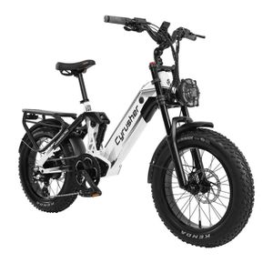 Batterie Vélo électrique 52V 23Ah – Triangle Li-ion – Avec Chargeur 3A – Neuf