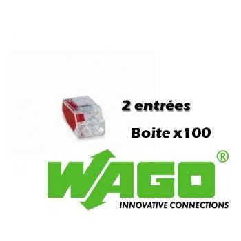 100 Wago 2 entrées, borne...
