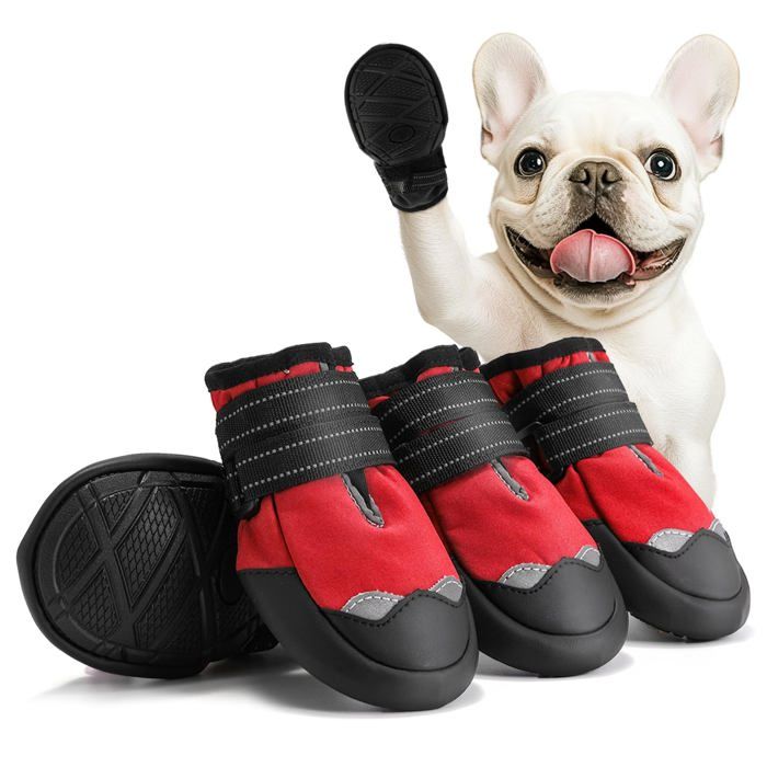 Protege Patte Pour Chien
